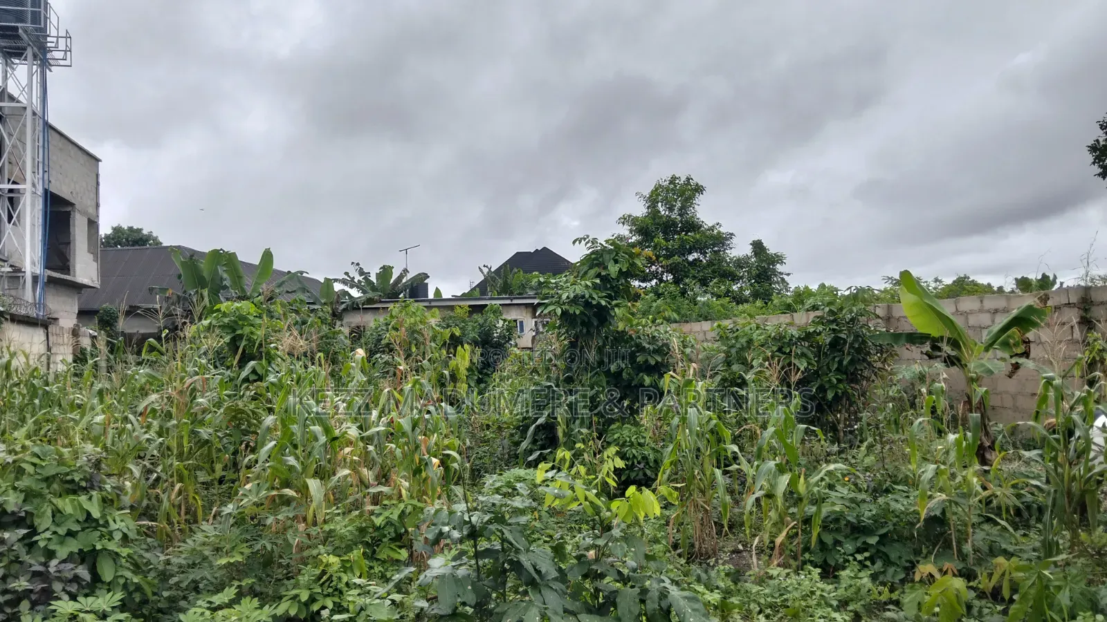 For Sale : Partly Fenced 1 Plot at Rumuokparali in Rumuepirieli