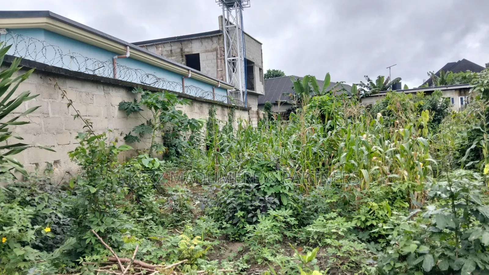 For Sale : Partly Fenced 1 Plot at Rumuokparali in Rumuepirieli