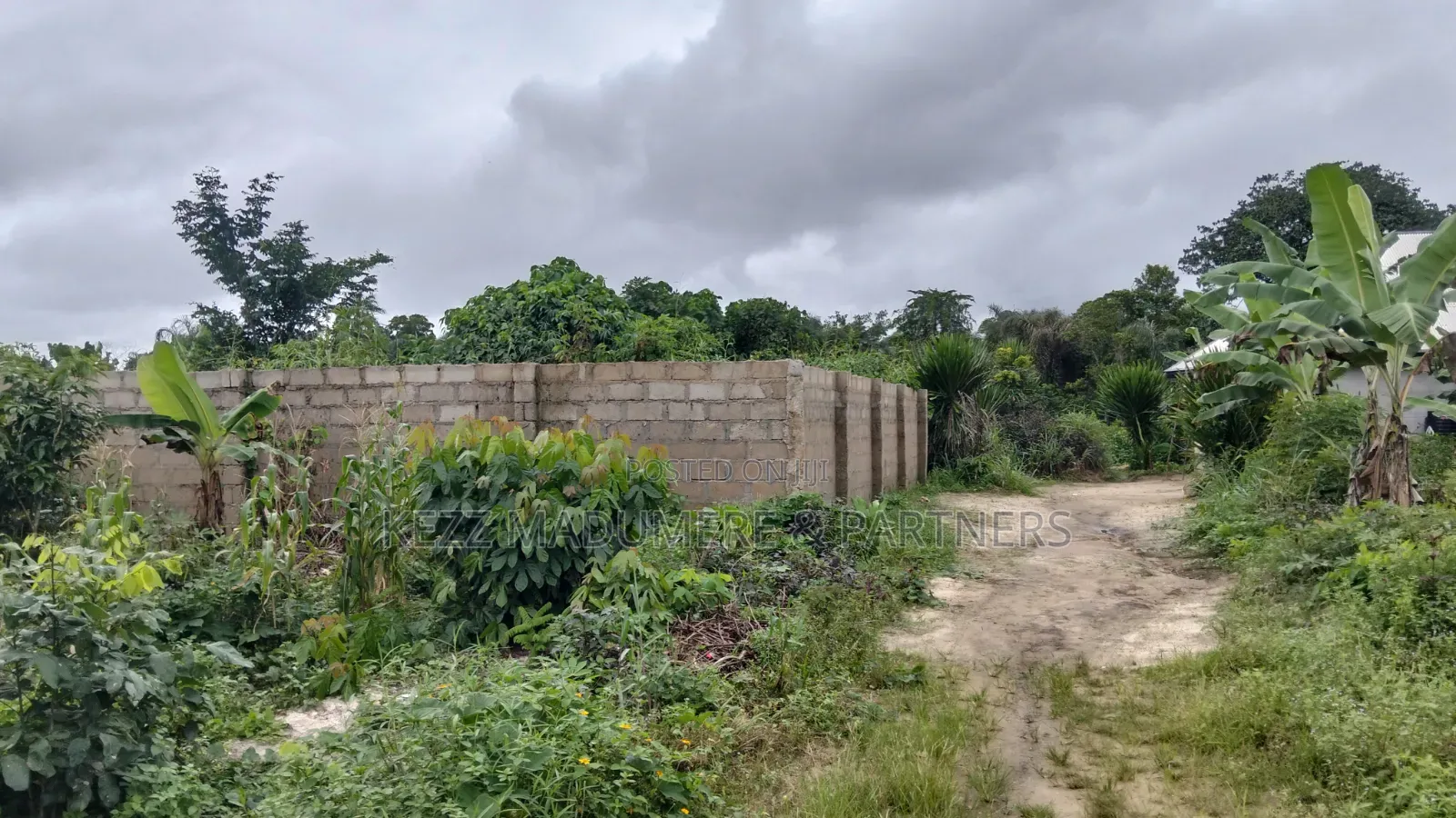 For Sale : Partly Fenced 1 Plot at Rumuokparali in Rumuepirieli