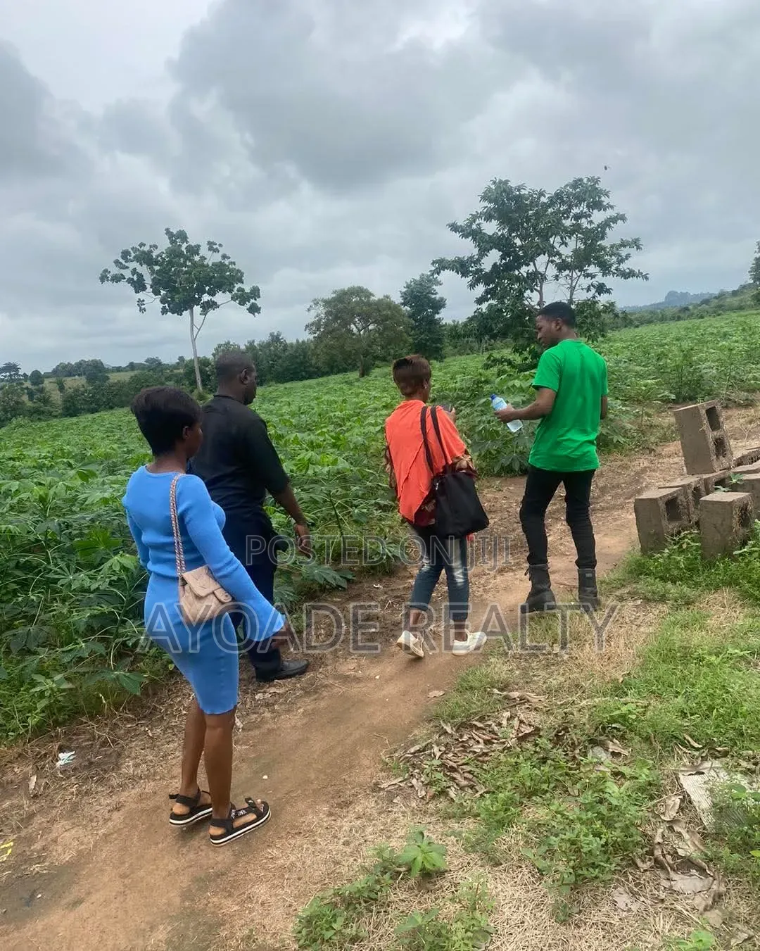 TREASURE CITY: Palm Plantation Land for Long-Term Investment in Ibadan