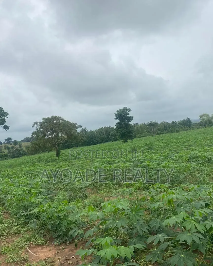 TREASURE CITY: Palm Plantation Land for Long-Term Investment in Ibadan