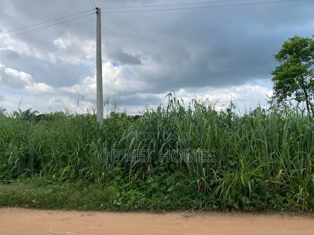 1451 SQM of Land Is Available in Akure