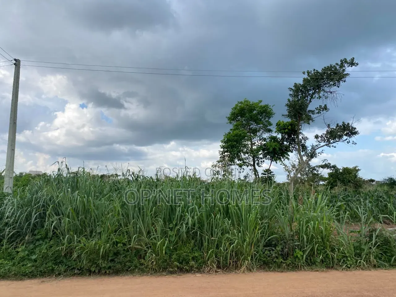 1451 SQM of Land Is Available in Akure