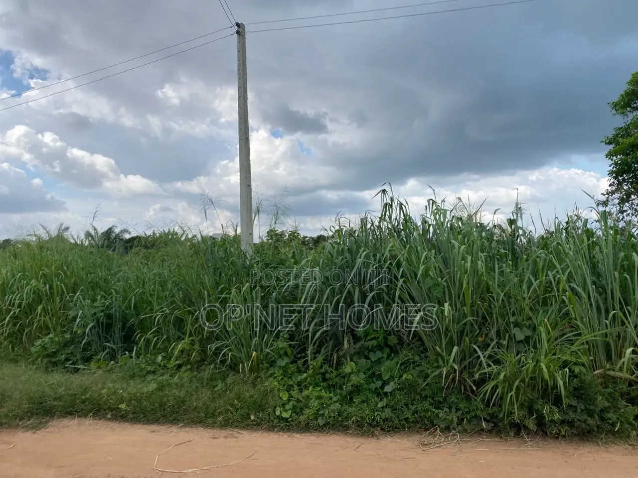 1451 SQM of Land Is Available in Akure