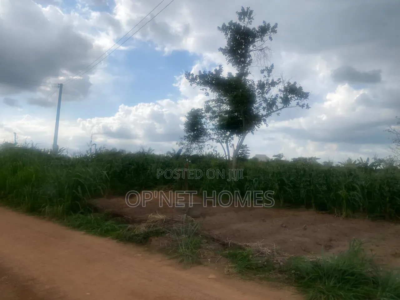 1451 SQM of Land Is Available in Akure