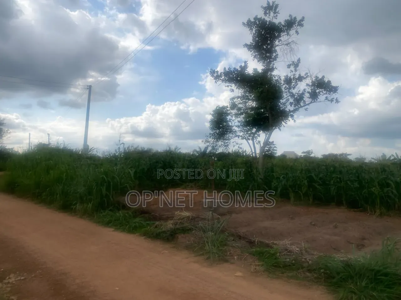 1451 SQM of Land Is Available in Akure