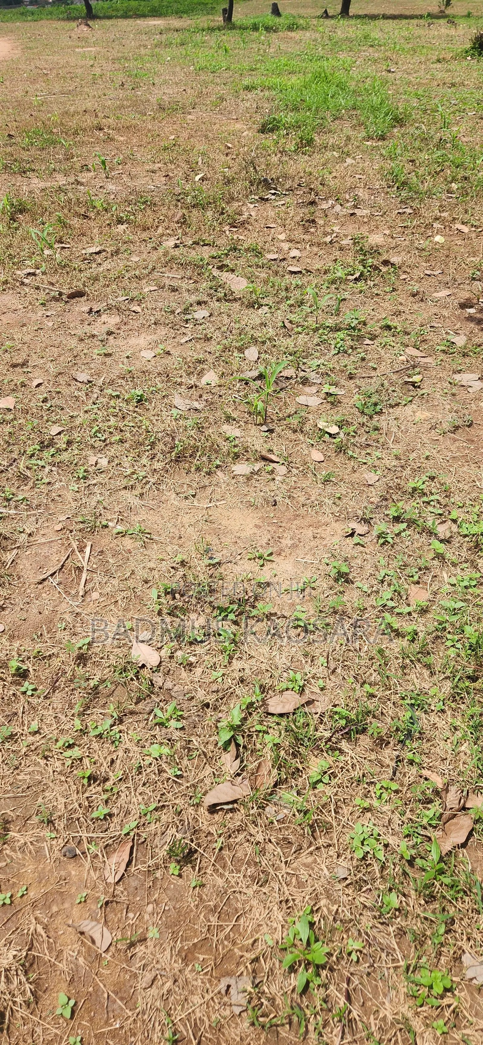 250SQM Estate Land Ideal 4 Bedroom Semi- Detached Duplex With C of O in Kabusa
