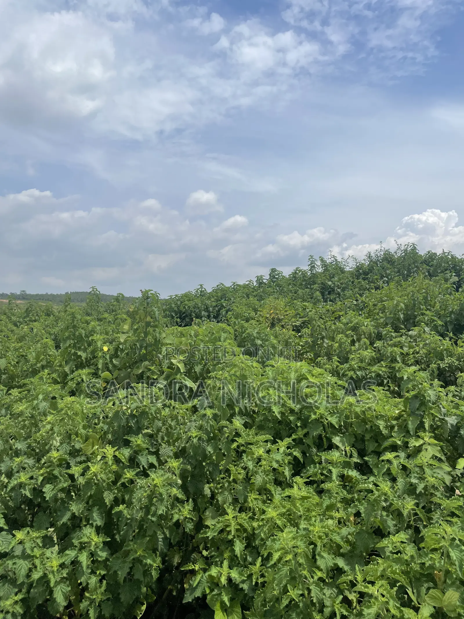 500 Square Meter Estate Plot for 5 Bedroom Detached Duplex in Karsana