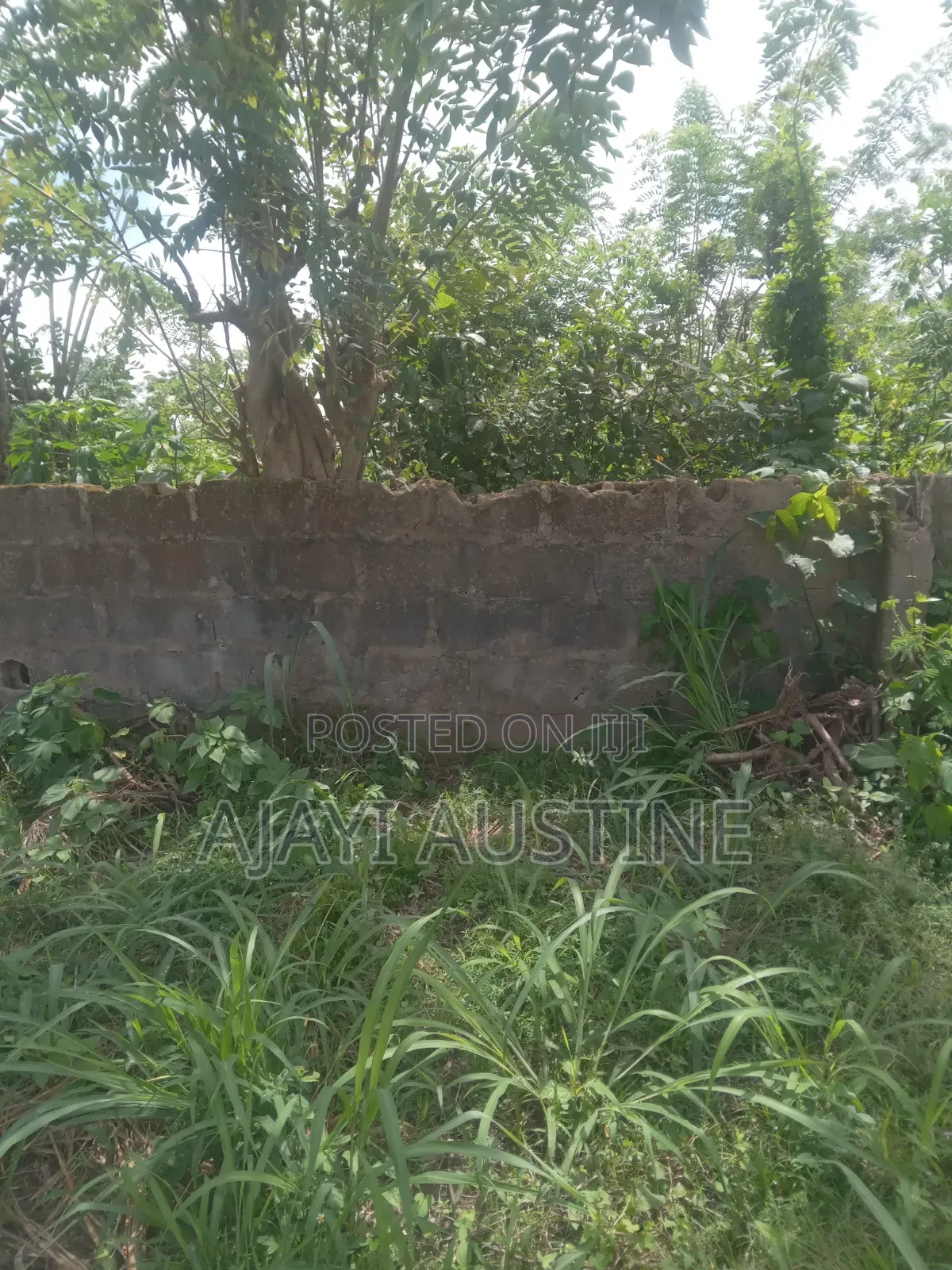 One Plot of Land at Ijigba, Oda Road for Sale in Akure