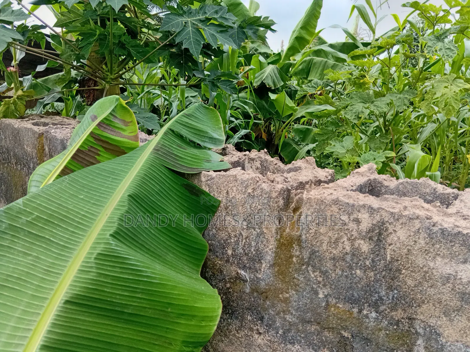 A Plot of Land for Sale, at Wire and Cable, Apata Ibadan in Apata