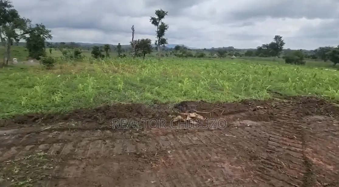 Per Hect Sale at Apo Wassa - 260mill in Wasa