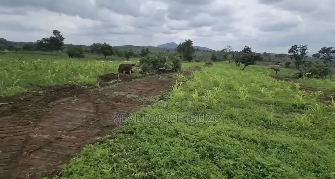 Per Hect Sale at Apo Wassa - 260mill in Wasa