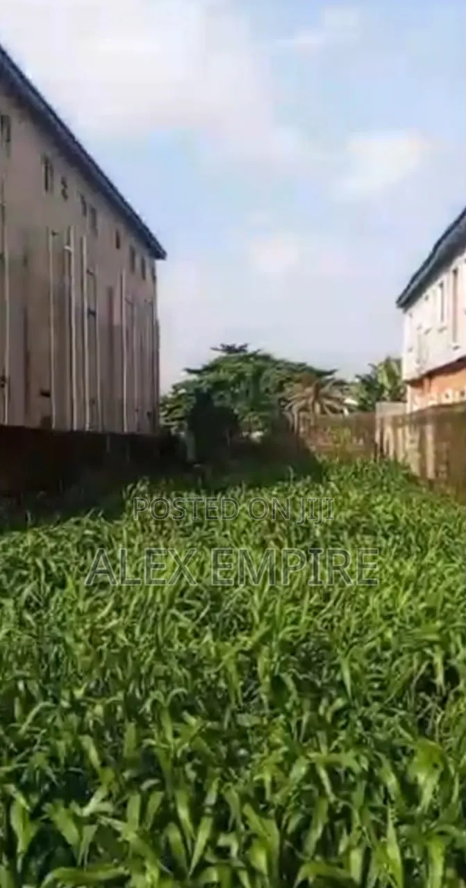 Half Plot of Land for Sale at Bucknor, Isolo in Bucknor