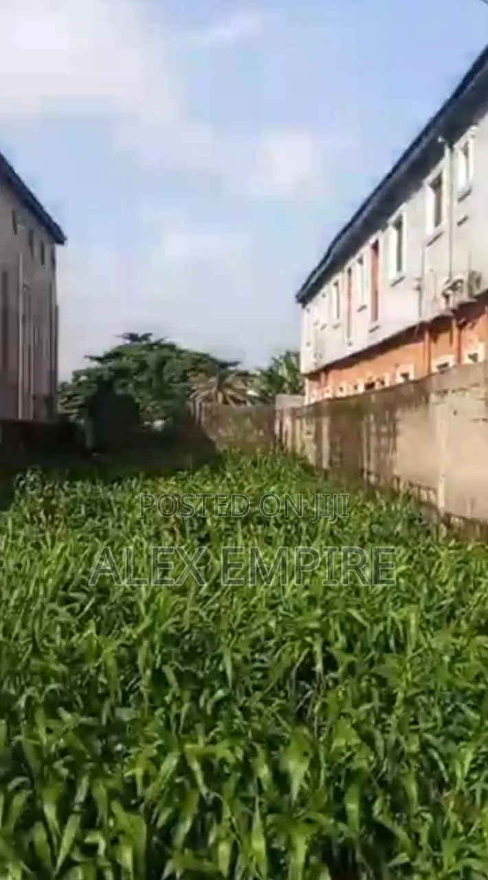 Half Plot of Land for Sale at Bucknor, Isolo in Bucknor