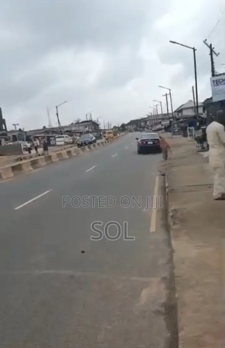 Commercial Land for Sale Abule Egba Lagos in Abule Egba
