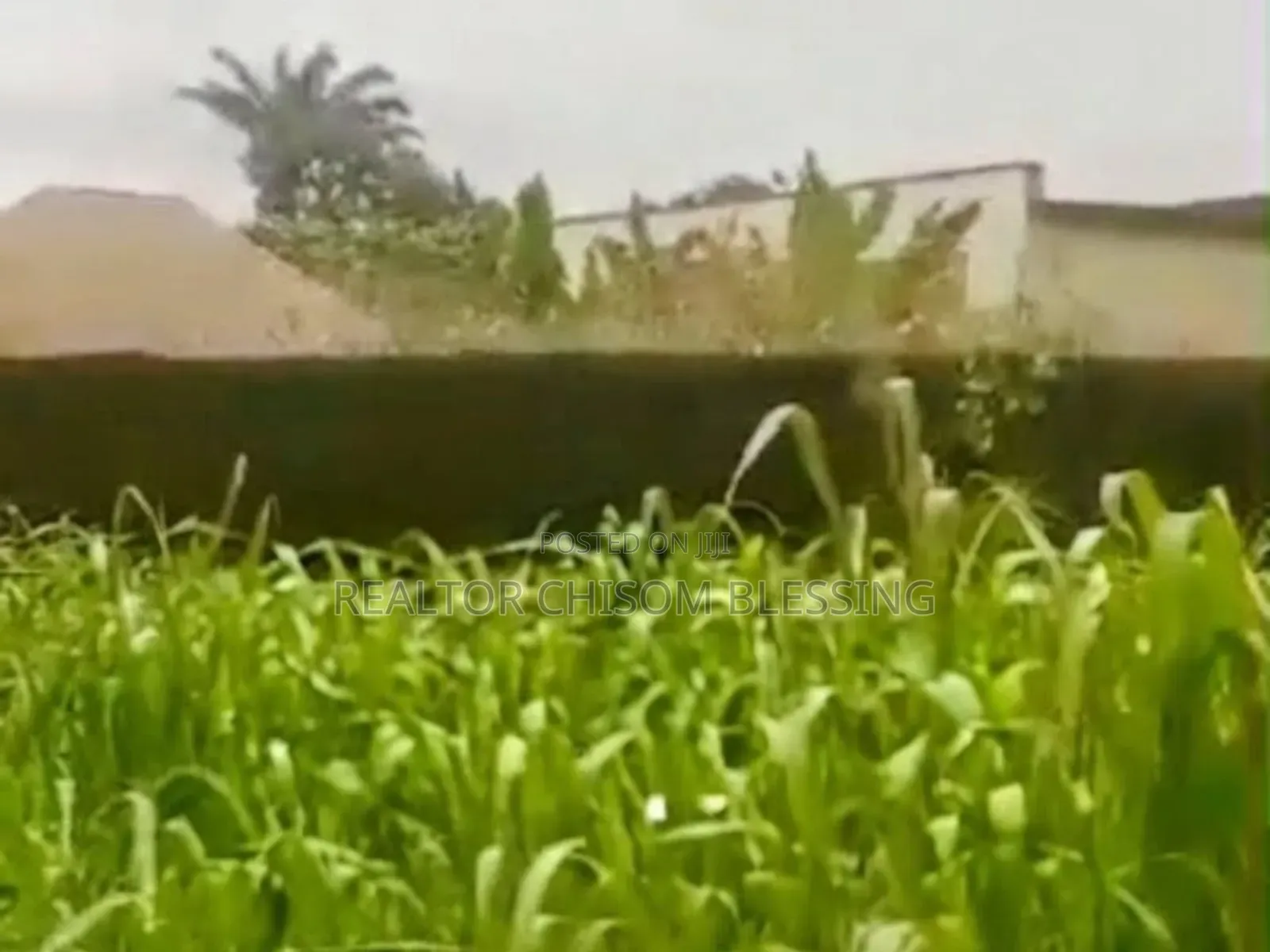 9 Plots of Prime Land With C of O for Sale in Ubakala, Umuahia! in Umuahia