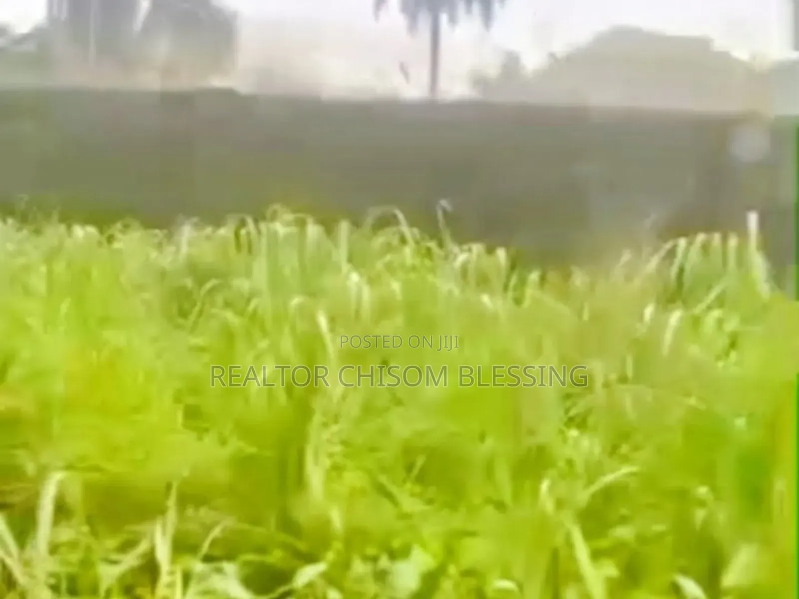 9 Plots of Prime Land With C of O for Sale in Ubakala, Umuahia! in Umuahia