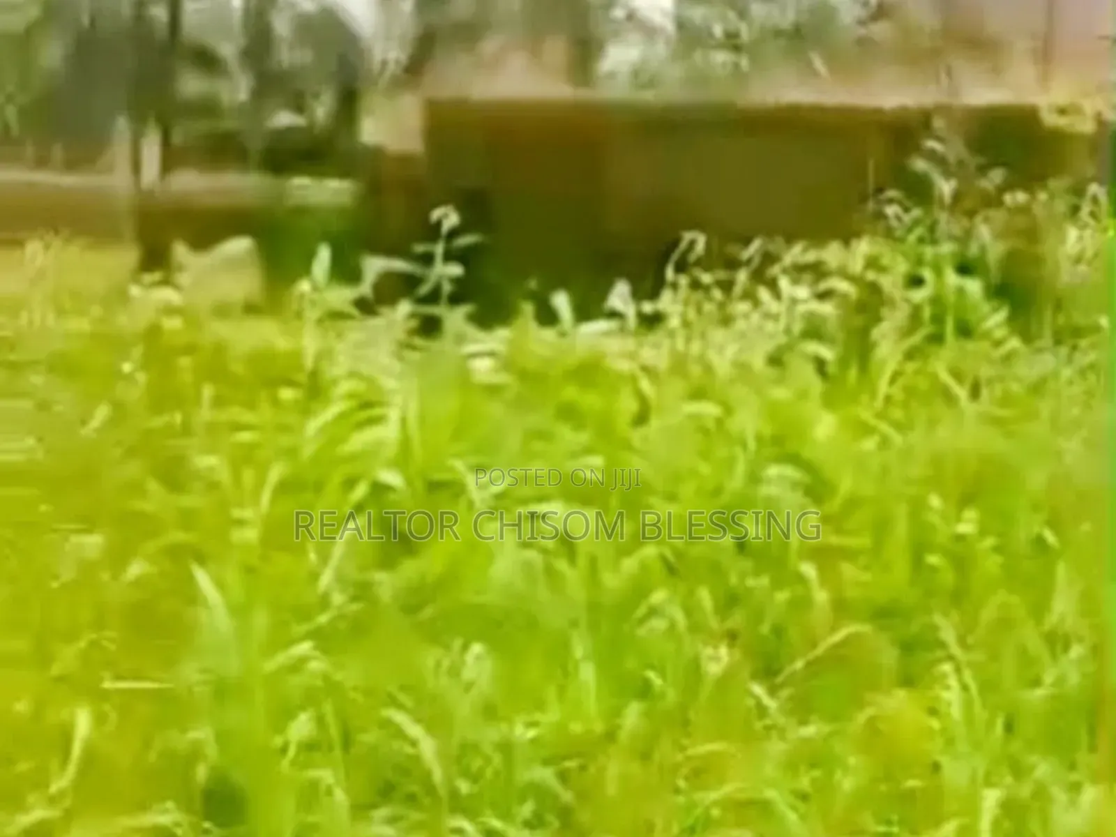 9 Plots of Prime Land With C of O for Sale in Ubakala, Umuahia! in Umuahia
