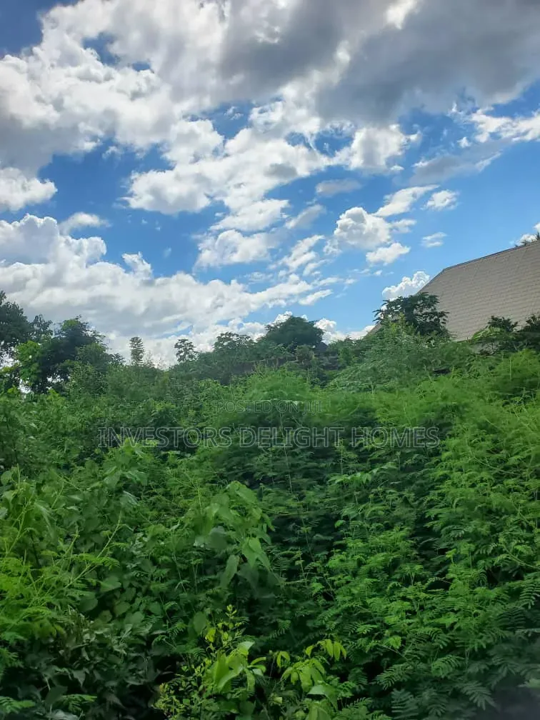 Residential/Commercial Land for Sale in Oshimili North