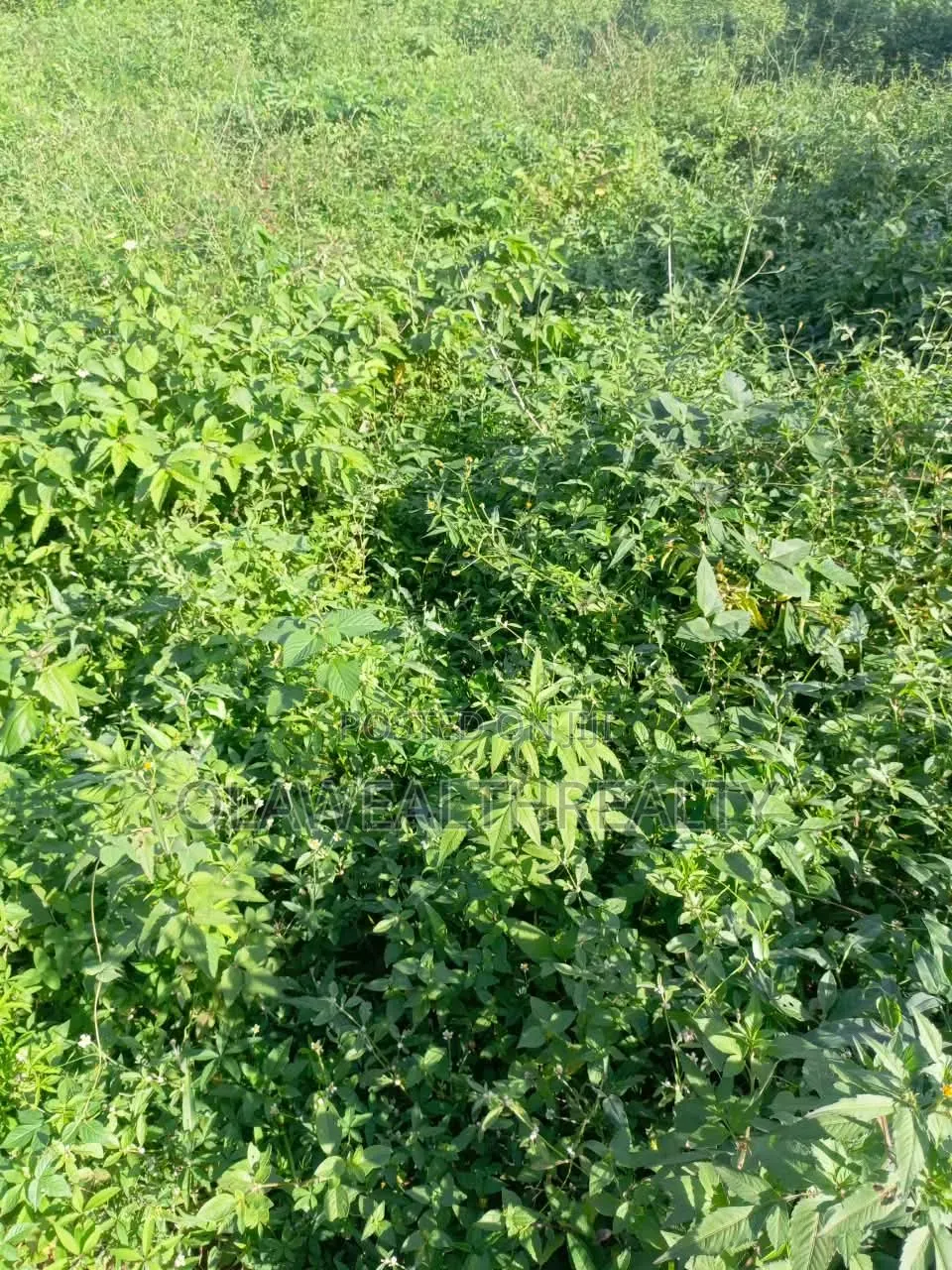 2,100sqm Residential Land at Old Bodija in Bodija