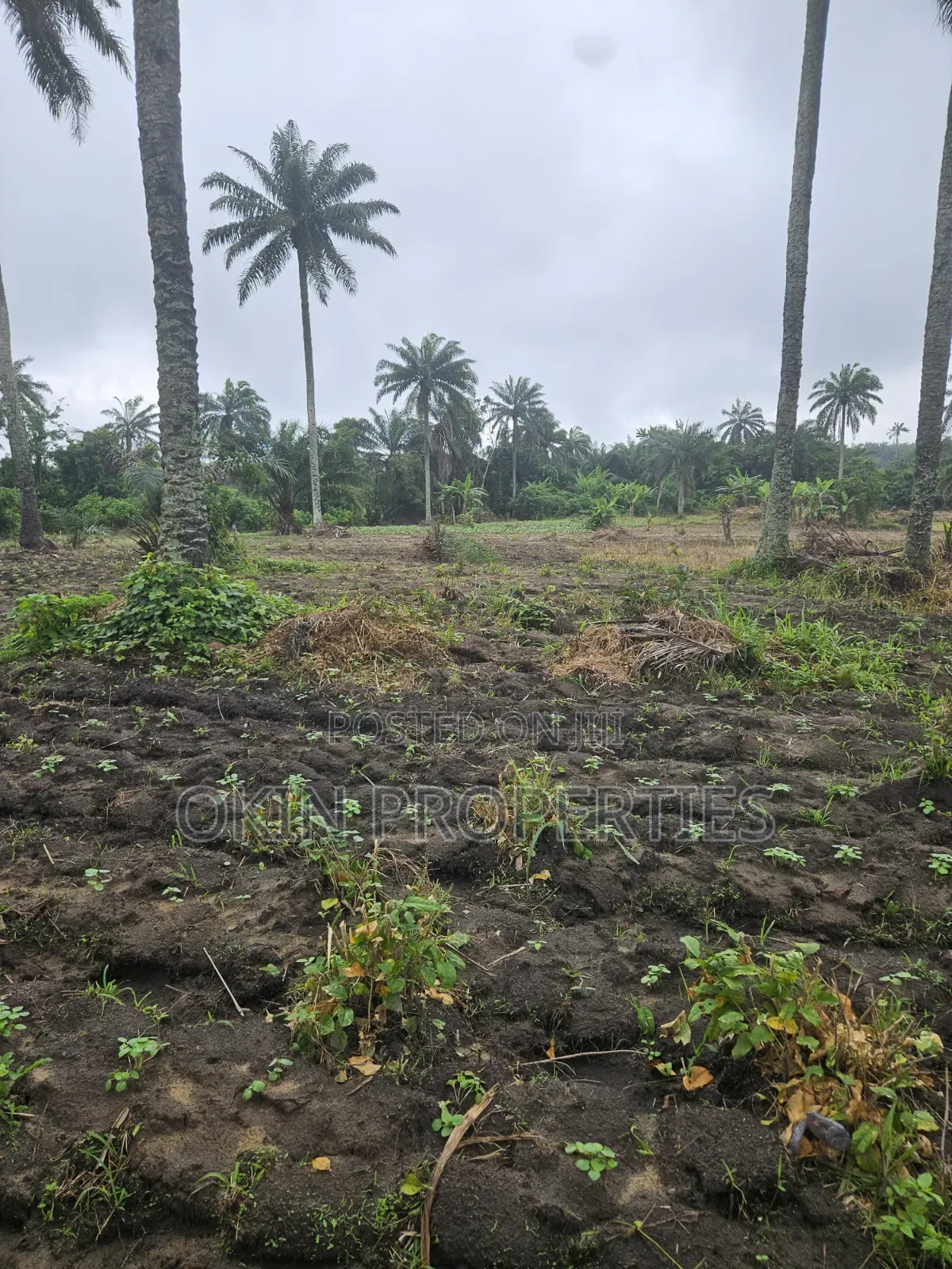 3 Acres of Swamped Land for Farming in Osogbo