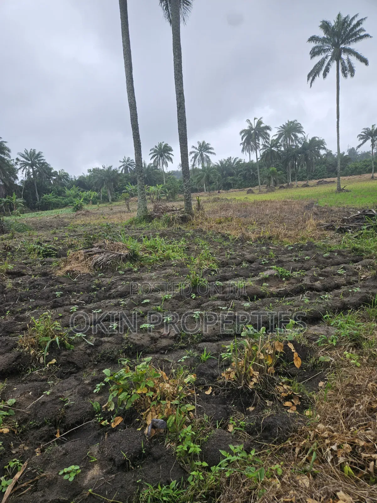 3 Acres of Swamped Land for Farming in Osogbo