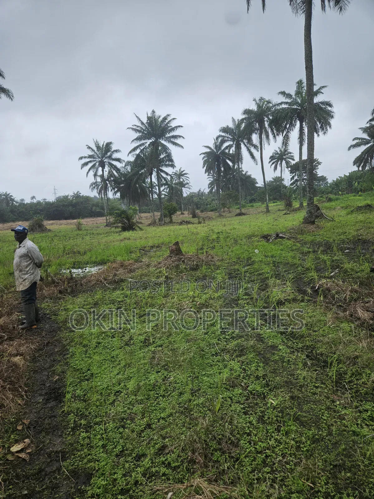 3 Acres of Swamped Land for Farming in Osogbo