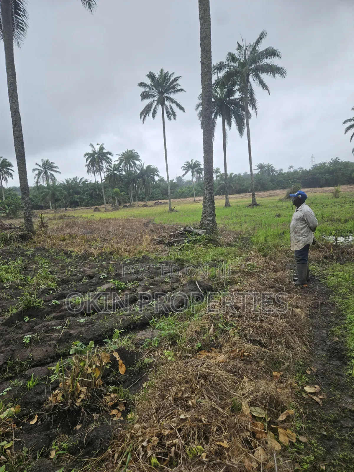 3 Acres of Swamped Land for Farming in Osogbo