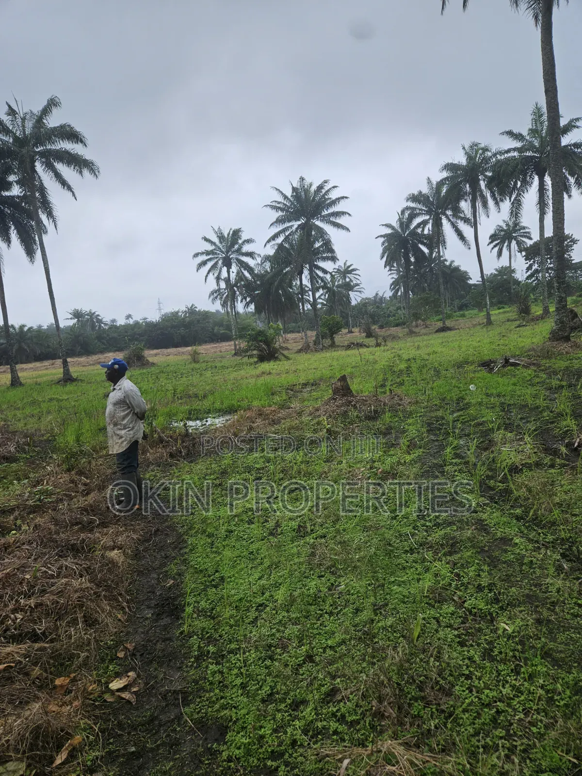 3 Acres of Swamped Land for Farming in Osogbo