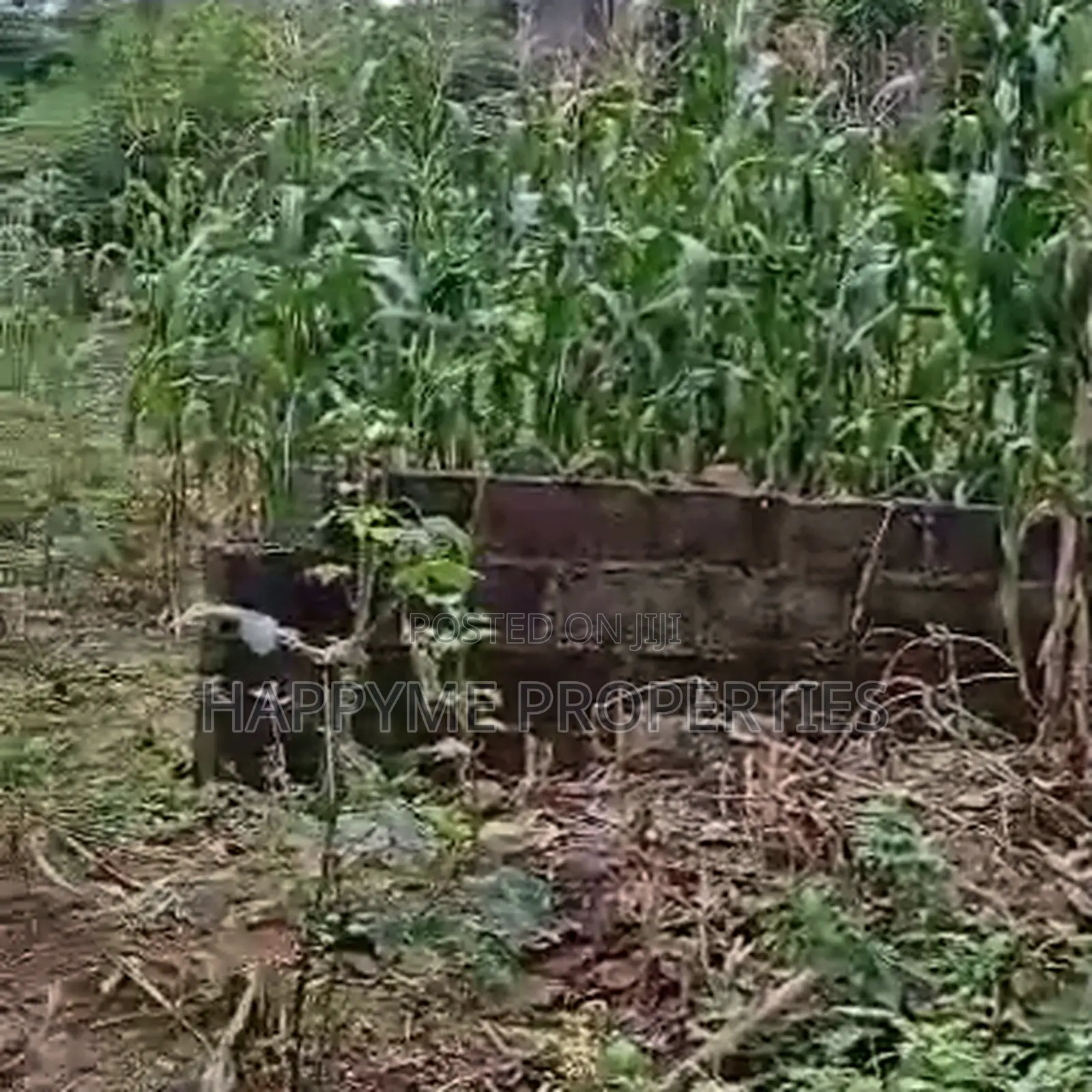 Quick Sale | Prime Residential Land in Katampe District in Katampe (Main)