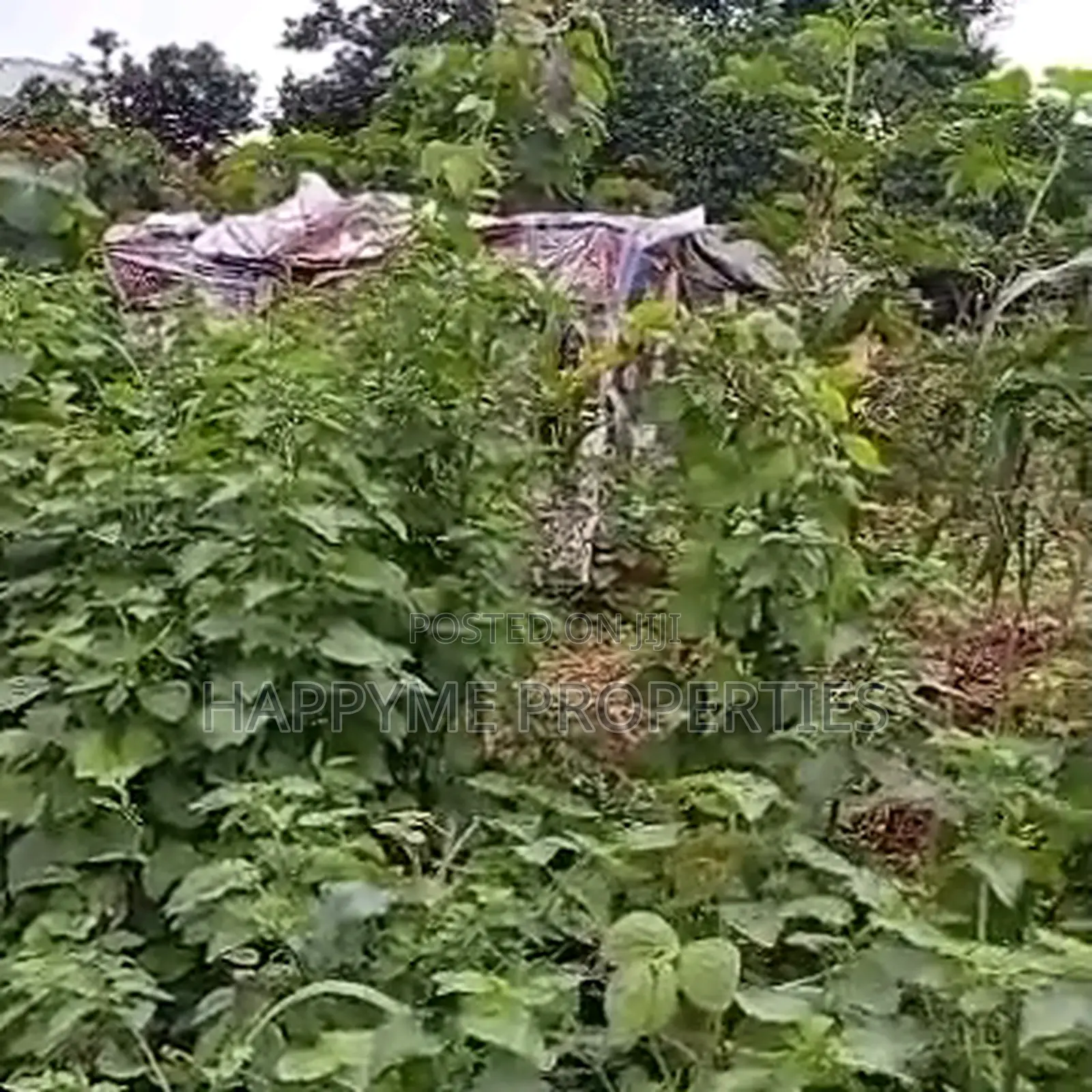 Quick Sale | Prime Residential Land in Katampe District in Katampe (Main)