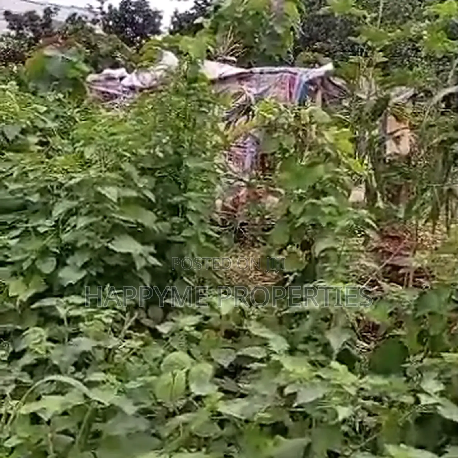 Quick Sale | Prime Residential Land in Katampe District in Katampe (Main)