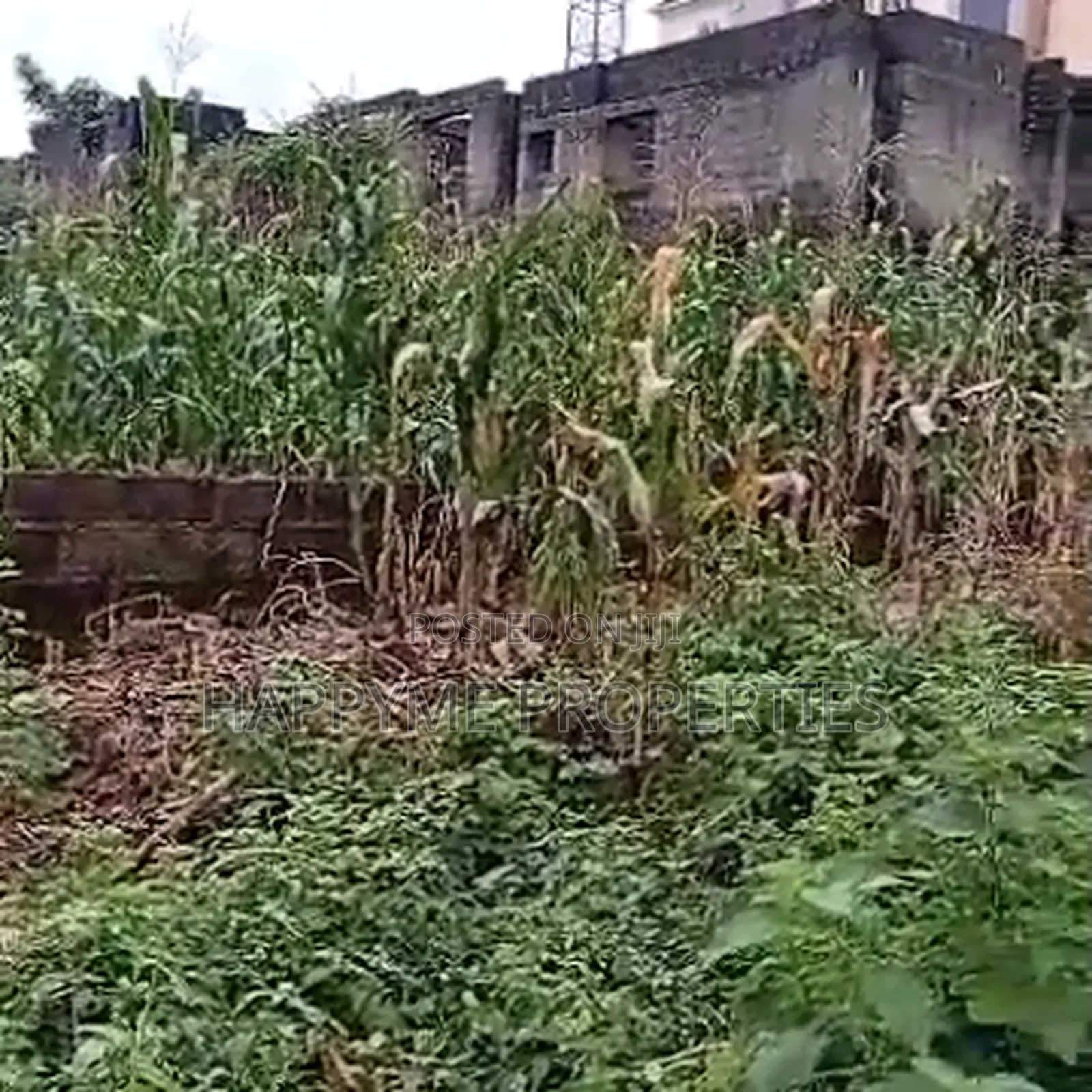 Quick Sale | Prime Residential Land in Katampe District in Katampe (Main)