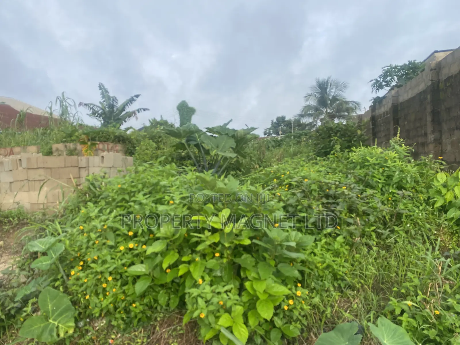 40 Plots of Land for Sale at Agbo Ibeku Umuahia in Umuahia