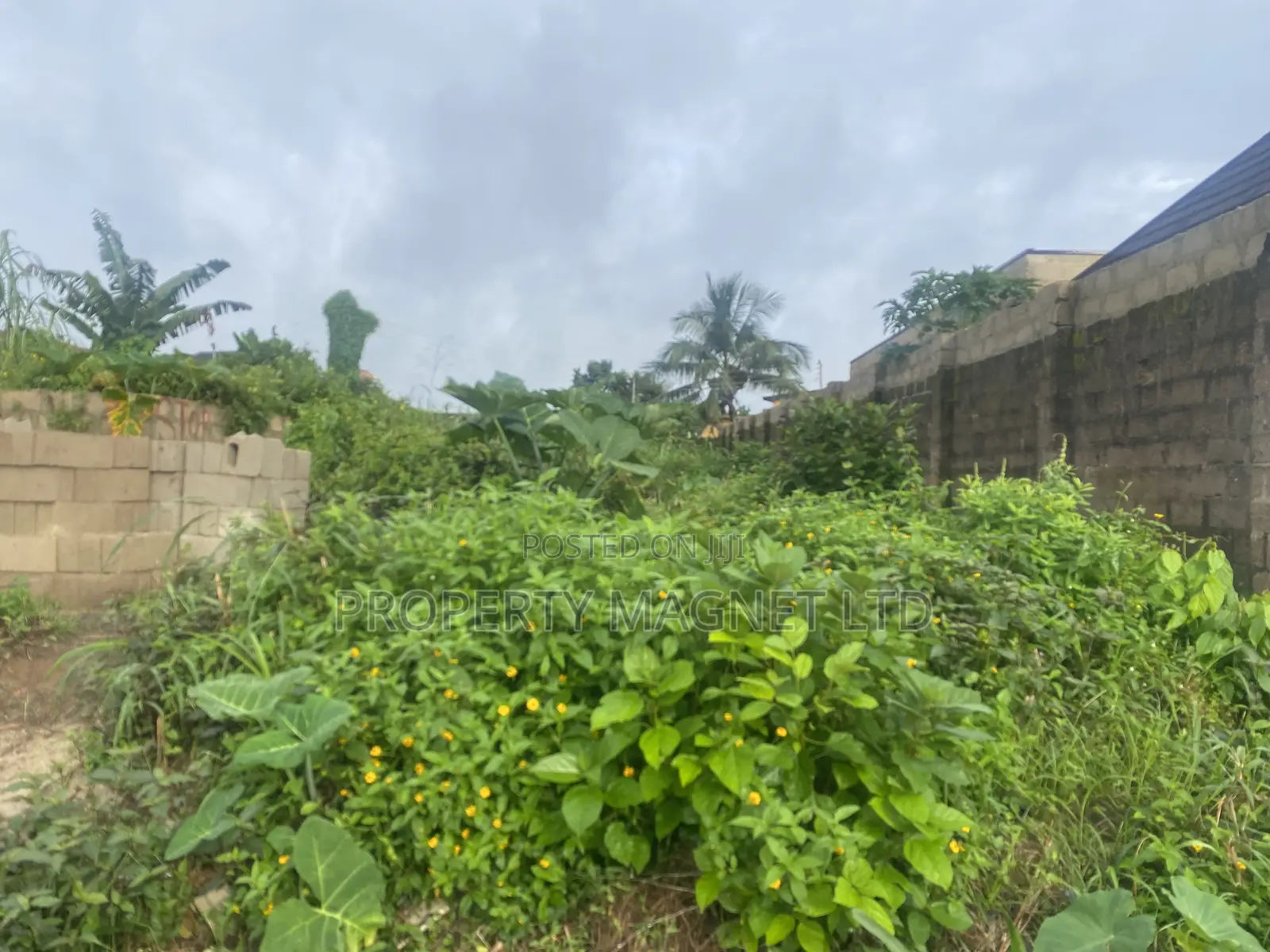 40 Plots of Land for Sale at Agbo Ibeku Umuahia in Umuahia