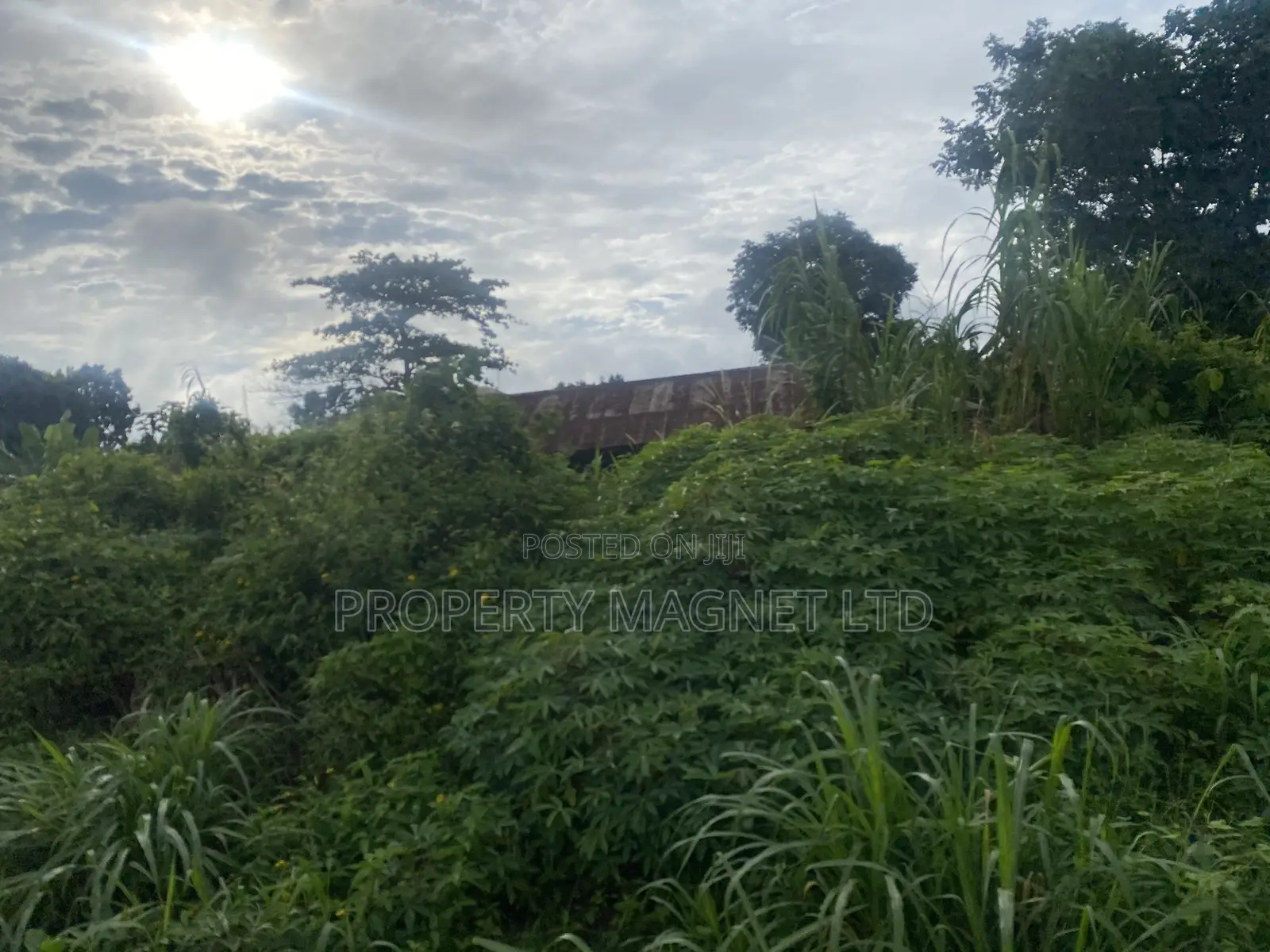 1 Coner Plot for Sale at Unity Estate Umuahia in Umuahia