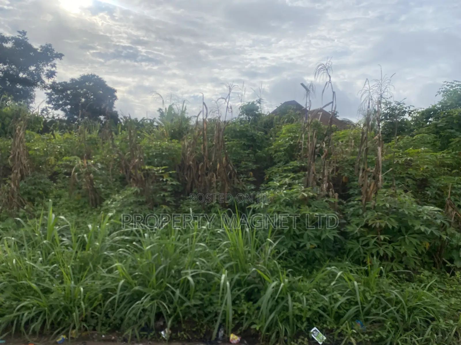 2 Plots of Land for Sale at Umuobia Estate Umuahia in Umuahia