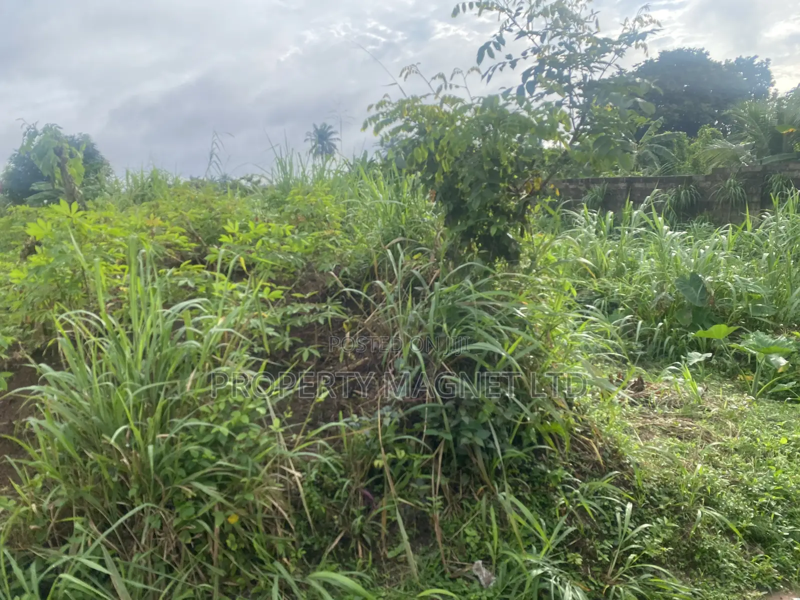 2 Plots of Land for Sale at Umuobia Estate Umuahia in Umuahia