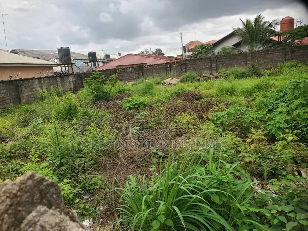 Residential/Commercial Land for Sale in Oshimili South