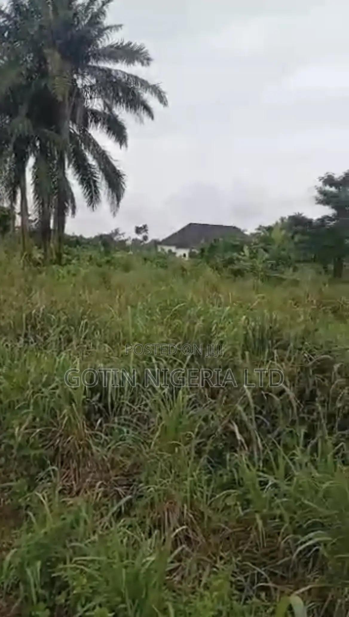 100×100 Plot of Land at Ayen, Egba Benin Auchi Road in Benin City