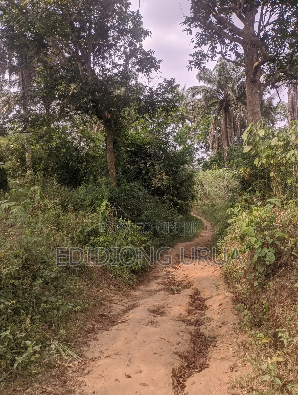 460sqm Plots of Land for Sale in Uyo, Akwaibom State in Uyo