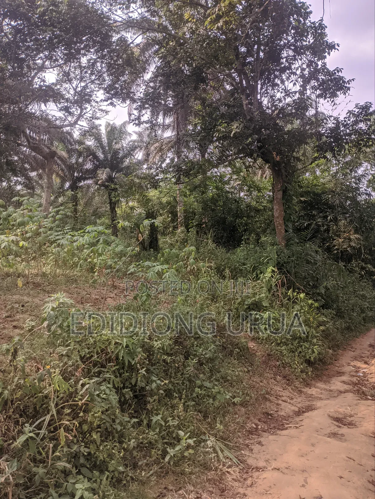 460sqm Plots of Land for Sale in Uyo, Akwaibom State in Uyo