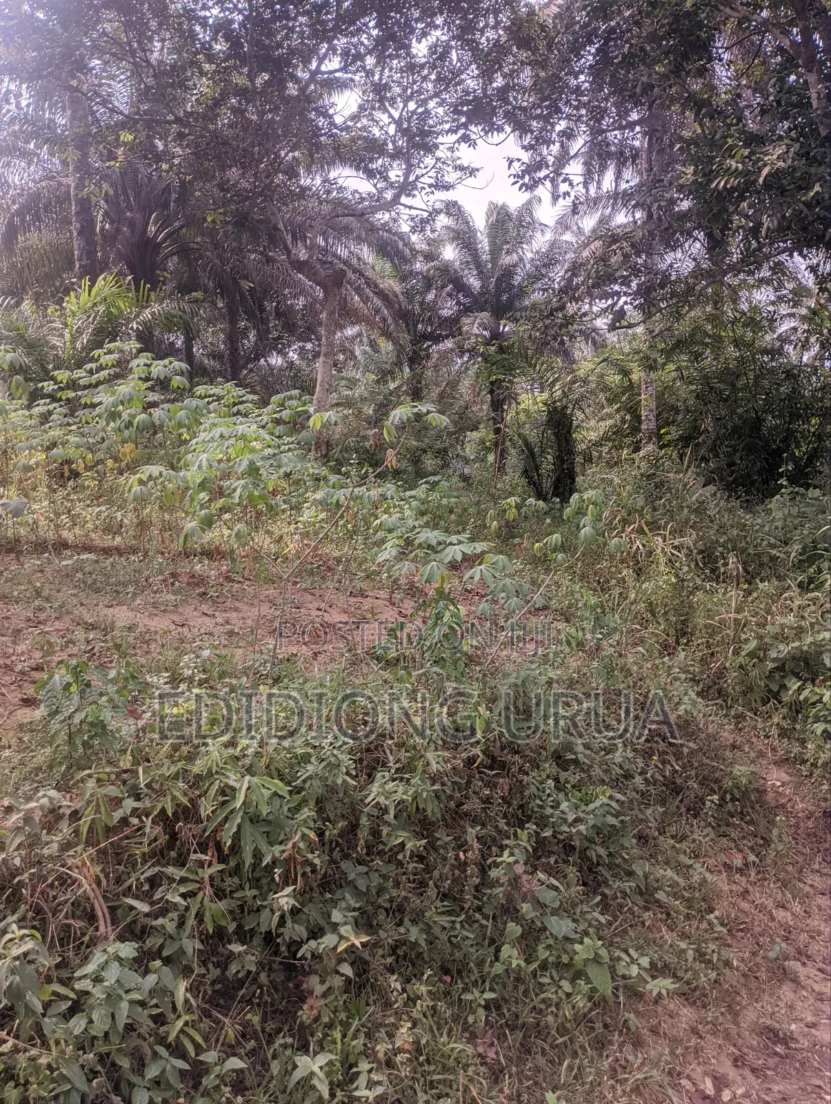 460sqm Plots of Land for Sale in Uyo, Akwaibom State in Uyo