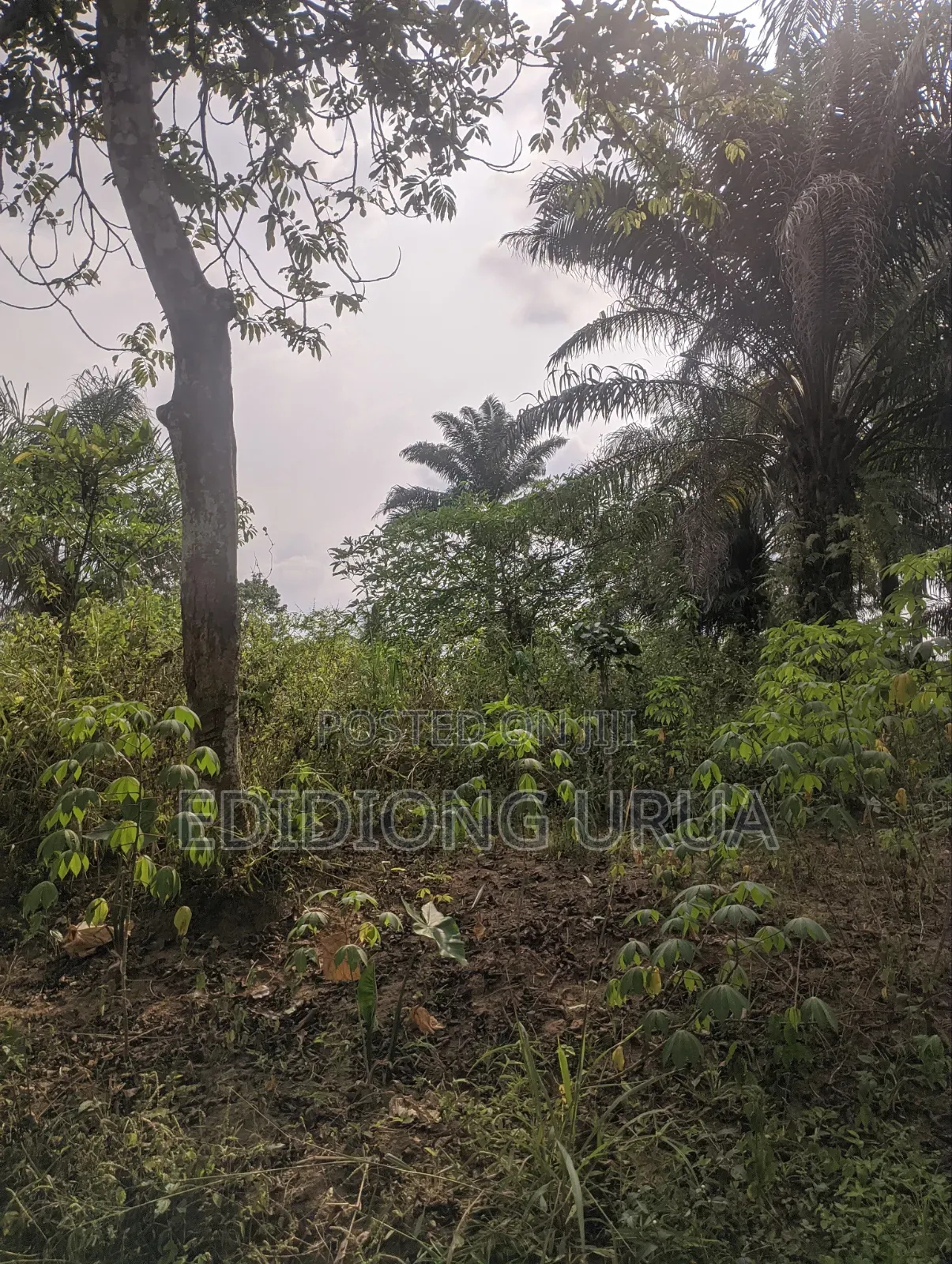 460sqm Plots of Land for Sale in Uyo, Akwaibom State in Uyo
