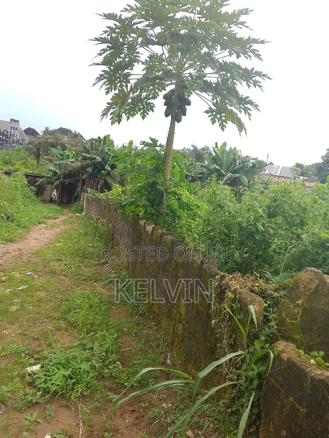 Affordable Properties in Aba North