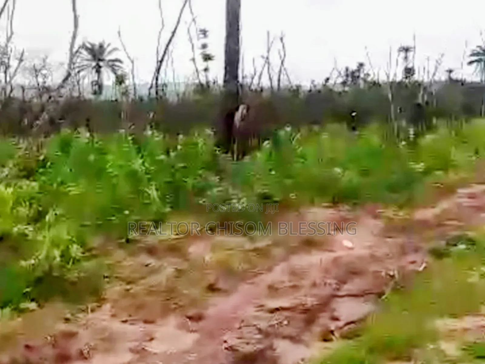 900 Plots for Sale in Ubakala Umuahia Abia State in Umuahia