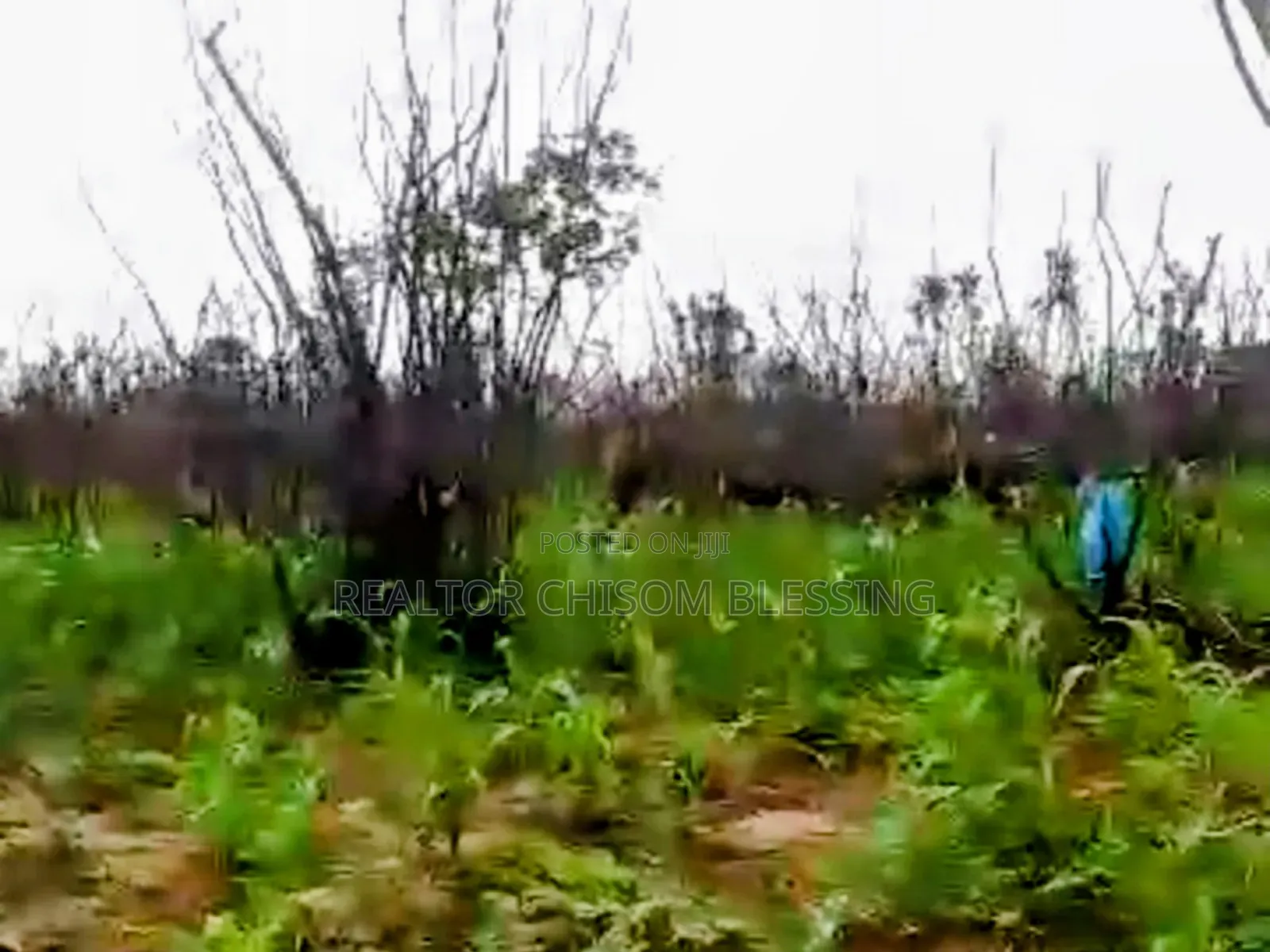 900 Plots for Sale in Ubakala Umuahia Abia State in Umuahia