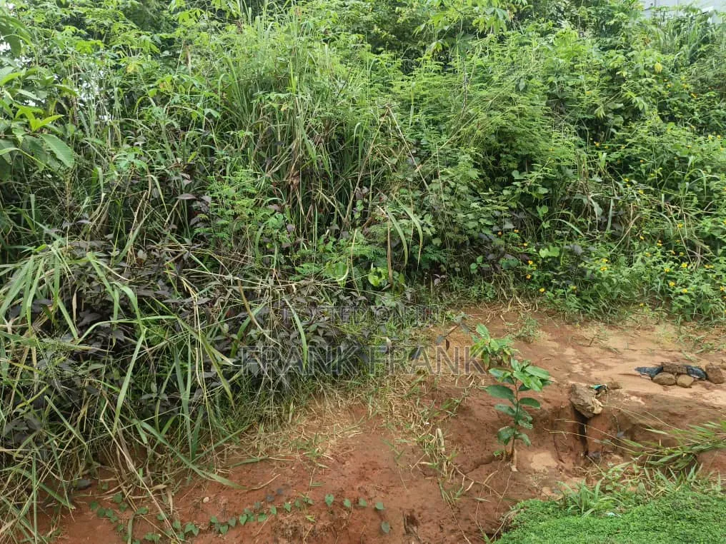 200 Plots of Land at Amenyi-Nibo by Ring Road in Awka Anambra State in Awka