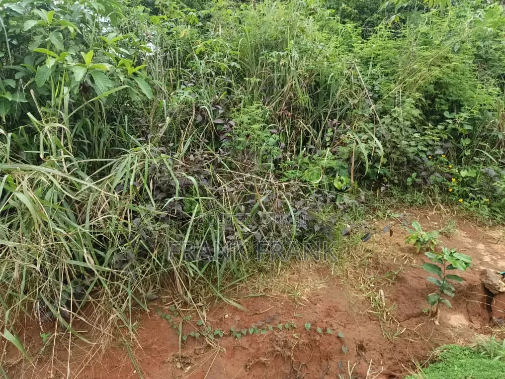 200 Plots of Land at Amenyi-Nibo by Ring Road in Awka Anambra State in Awka