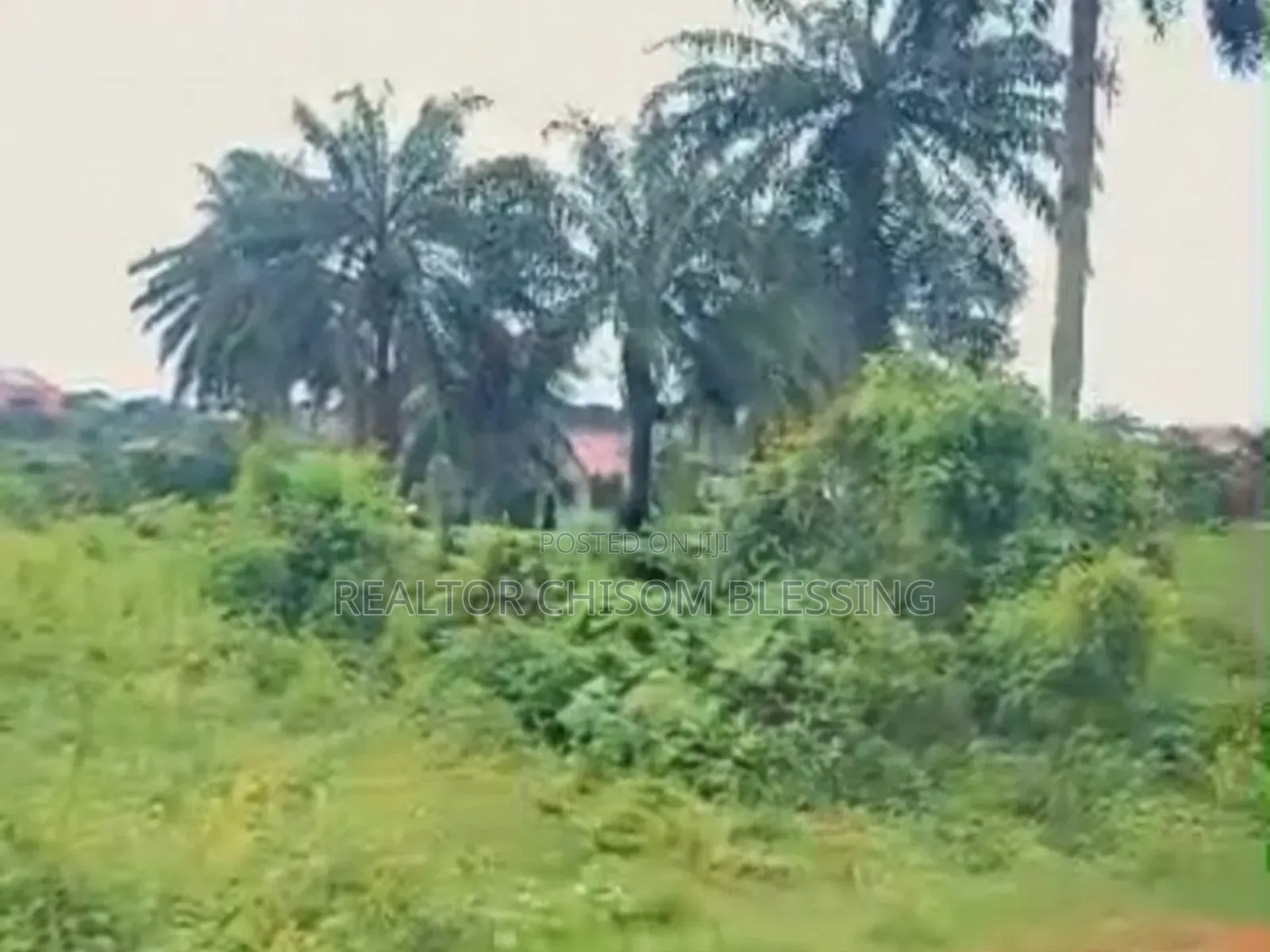 Prime 4 Plots for Sale in New Government House, Okwuta Ibeku, Umuahia in Umuahia